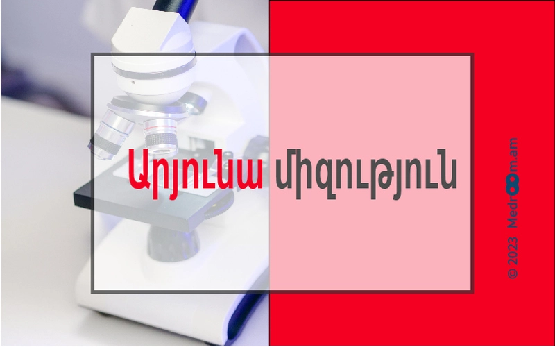 Արյունամիզություն
